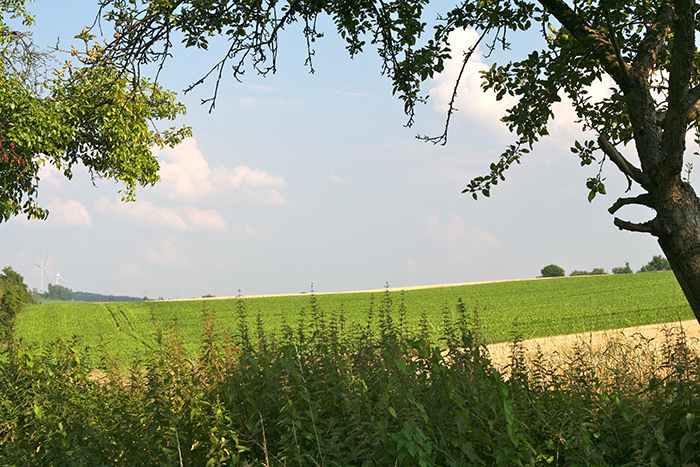 Landschaft